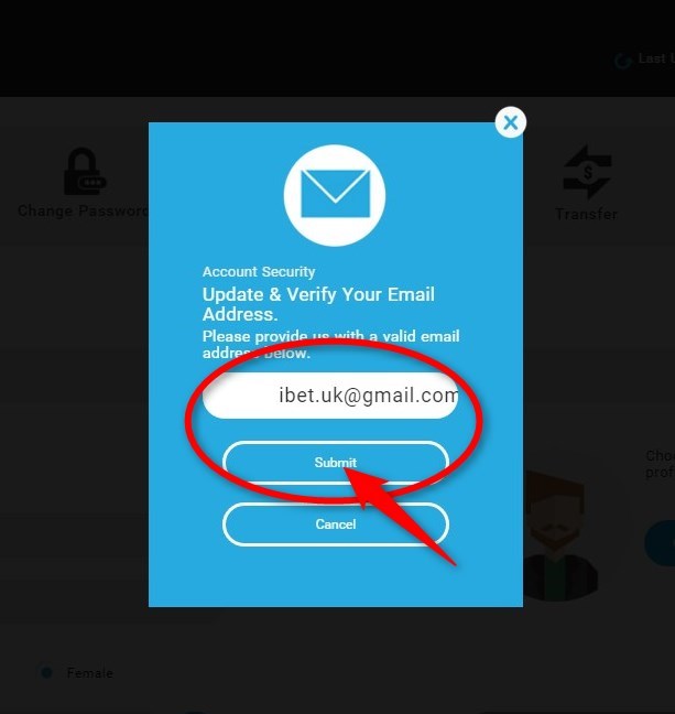 How To Verify Your E-Mail for Bonus-3