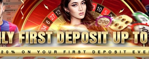 20% DAILY FIRST DEPOSIT